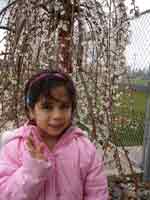 233