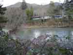 145