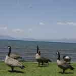 Lake Tahoe-198