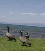 Lake Tahoe-199
