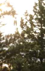 Lake Tahoe-303