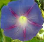 PIC00036