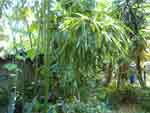 PIC00044