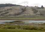 Baskett Slough