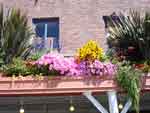 salem 0827-058