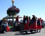 salem 0827-100