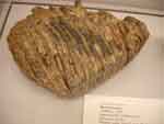 salem 0827-125