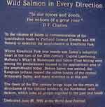 salem 0901-091