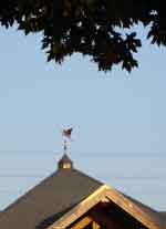 salem 0901-114