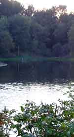 salem 0901-143