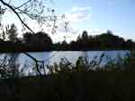 salem 0831-005