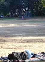 salem 0831-009