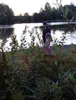 salem 0831-041