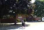 salem 0831-052