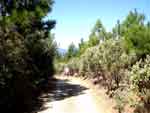 gv0819-013