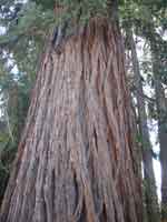 tahoe0820-060