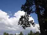 tahoe0821-021