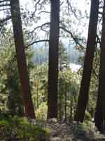 tahoe0821-064