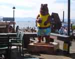 tahoe0821-004
