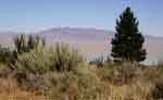 klamathfalls0823-018