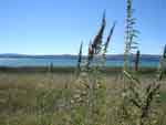 klamathfalls0823-084