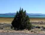 klamathfalls0823-094
