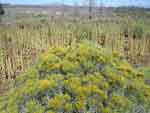klamathfalls0823-099
