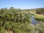 klamathfalls0823-119