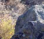klamathfalls0823-168