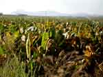 klamathfalls0823-180