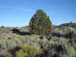klamathfalls0823-219