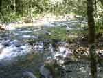 salem 0823-073