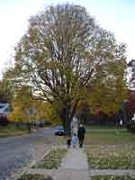 baltimore-031