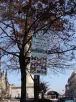 baltimore-283