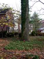 baltimoreNov16-004