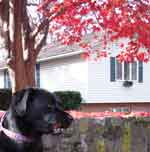 baltimoreNov16-037