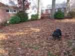 baltimoreNov16-046