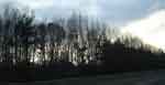 newyork Nov19-344