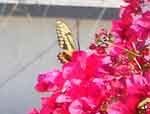 13aug07-018