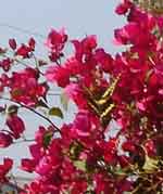 13aug07-028