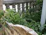 08aug07-064