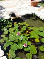 08aug07-085