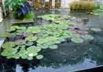 28aug07-052