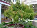 28aug07-127