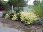 21aug07-006