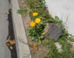 28aug07-207