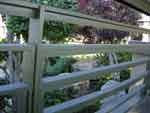 24july07-034
