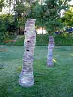 24july07-037