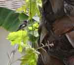 17jul07-007