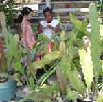 17jul07-066